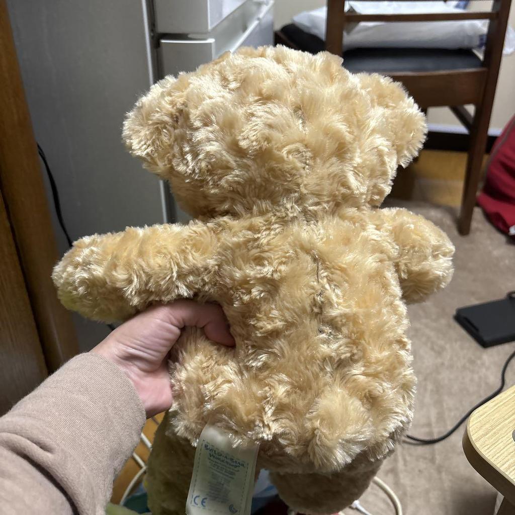 [USED] Teddy Bear Plush Toy
