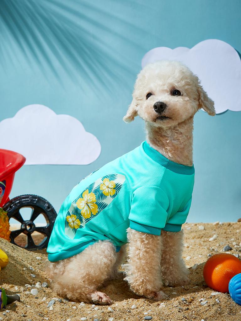 Dog Clothes Puppy Floral Sweatshirts for Small Medium Dog, Cat, Soft and Comfort Seaside Shirts Dog Pajamas Outfit Pet