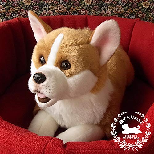 Ninian and Kino Plush Dog, Realistic Lying Down, Approximately 40cm Long, Pet (Corgi)
