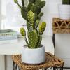 Retro Cement Cactus Bonsai - Small Faux Potted Plant for Office Decoration