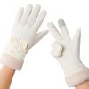 Ski Gloves Women's Autumn and Winter Warm Touch Screen Piled Thickened Windproof, Cold and Water-proof Outdoor Riding Gloves