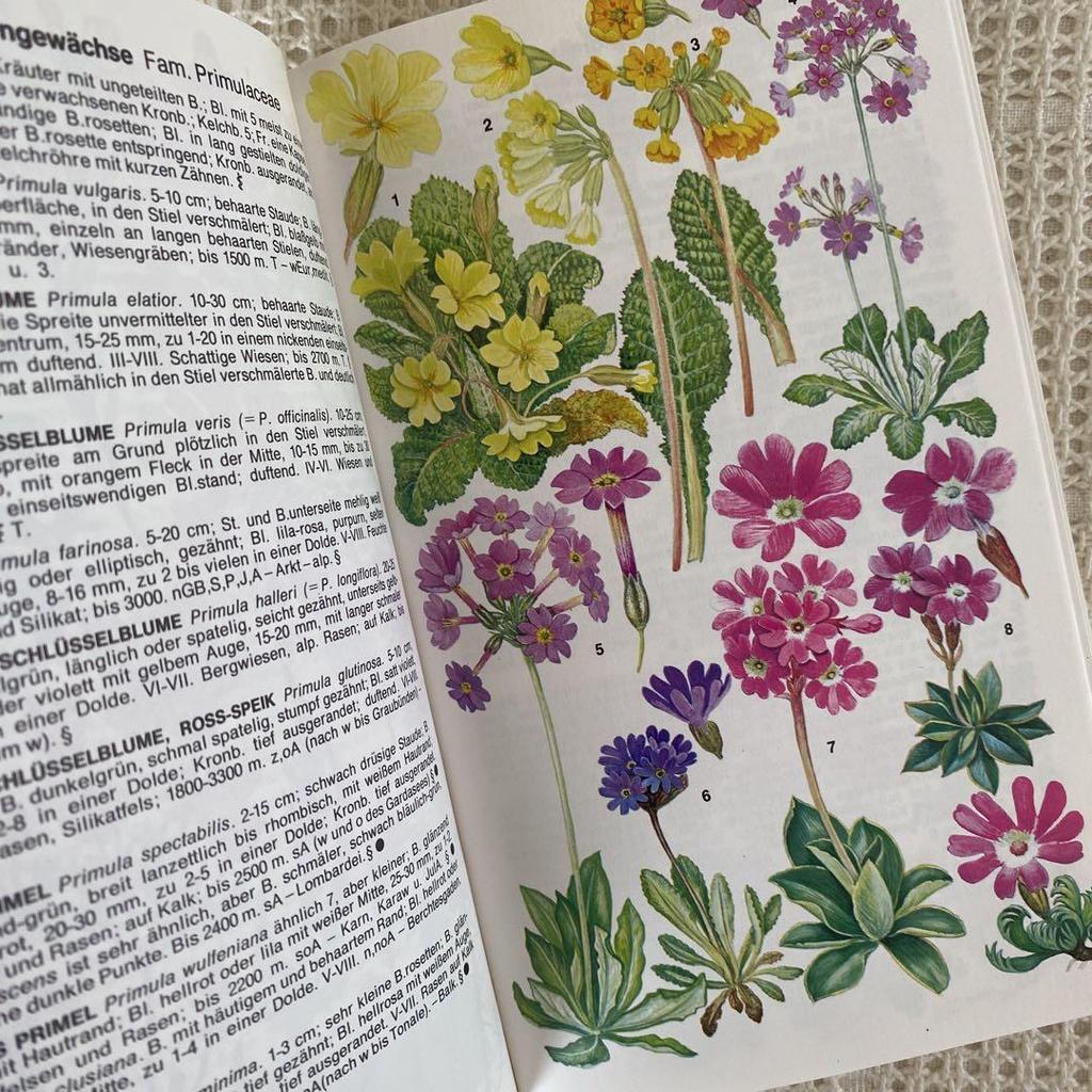 [USED] 1980, Plenty of illustrations, over 3000 items, Marjorie Blamey's Alpine Plant Encyclopedia