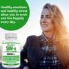 SAM-e-S-adenosylmethionine 1000 mg 120 capsules