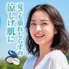 Cooling Charge Makeup Keep Powder UV 8g  SPF50+ PA++++ Face Powder Cooling UV Protection Makeup Touch-up Smooth Feeling Pore and Dullness Natural