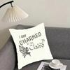 Charm Singer C-Clairo Cushion Cover Pillowcase Ultra Soft Skin Friendly Fabric Cloud Like Comfort & Concealed Zipper