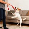 Pet Chew Toy Rope Knot Puppy Bite Resistant Interactive Toys Dog Chewing Toys Teeth Cleaning Interactive Pet Plush Toy