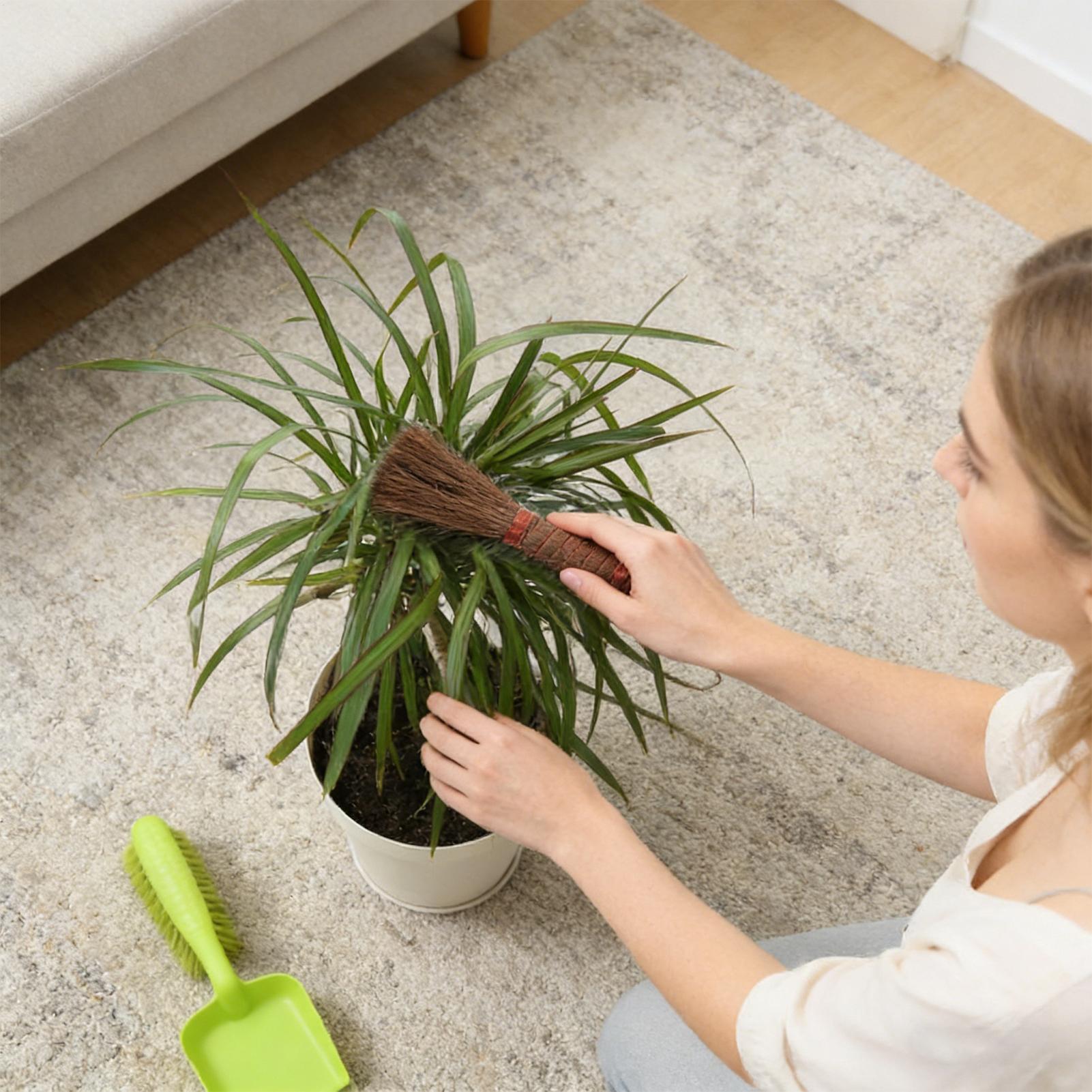 

Tea Brush Gardening Cleaning Broom Palm Fiber Tea Table Gardening Brush For Indoor Plant Potted Flower Coffee Machine China Mainland