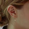 Teardrop Crystal Earrings (Silver 925) SHER0014
