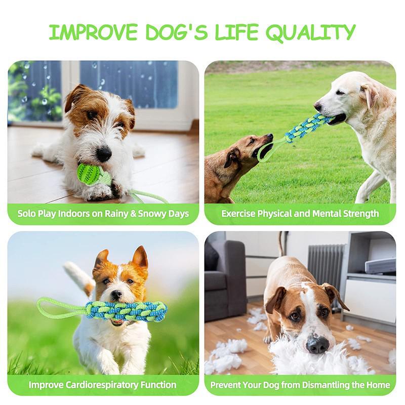 Cross-Border Hot-Selling Pet Toys: Molar Cleaning Chew Rope & Ball, Interactive Tug-of-War Knot for Dogs, Both Outdoor & Indoor Use.