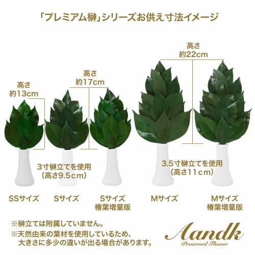 A&K Premium Preserved Sakaki Trees, Small, Pair, Approx. 28cm Tall X 14cm Wide, Made with Premium Tanba Camellia Leaves, Perfect for Shinto Shrine Off