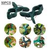 Secured Plastic Plant Clips for Climbing Plants Support Clips for Garden Use for Vines and Vegetables 50 Pieces