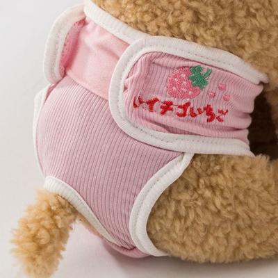 Roupa e sapatos – Calções para cães