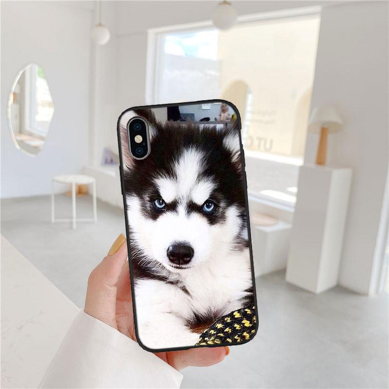 LO53 Husky Puppy Dog Soft Shell Phone Case for iPhone SE X XS XR 11 16E 17 Pro Max Air 8 7 6 6s Plus
