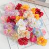 10/20Pieces 6.5CM Cheap Artificial Flowers for Home Wedding Room Decor Accessories Scrapbooking Flowers Wall Diy Rose Heads