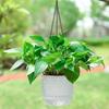 Plants Pot Flower Pot Hanging Basket Hanging Pot Thickened Vase  Green Pineapple