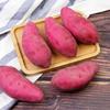 Artificial Fake Sweet Potato Decorative Vegetables Sample Props Window Display
