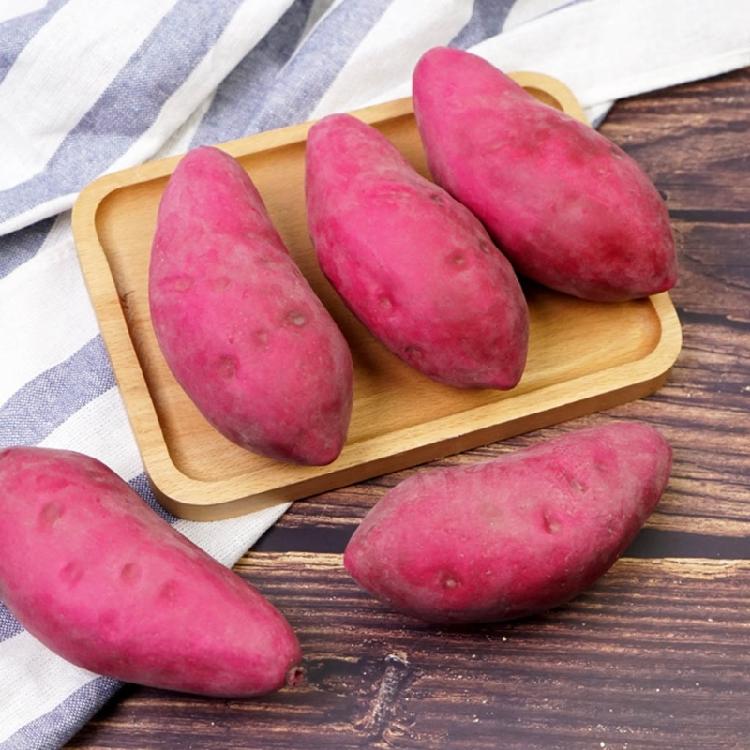 Artificial Fake Sweet Potato Decorative Vegetables Sample Props Window Display