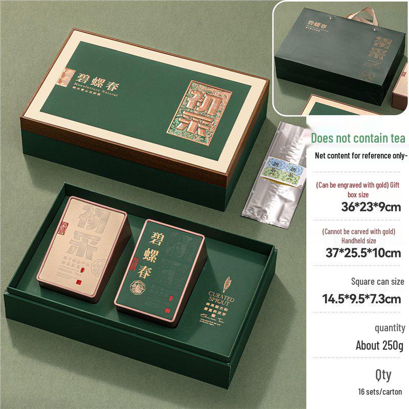 Premium Green Tea Gift Box: Xinyang Maojian, Pre-Qingming Longjing, Biluochun Packaging