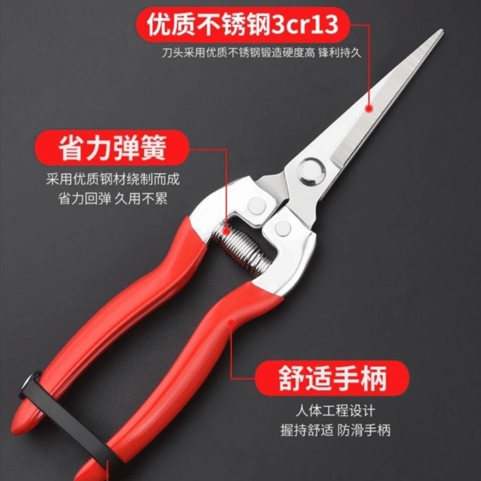 Gardening Shears