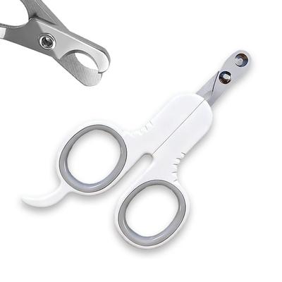 Gatos – Cuidados e higiene