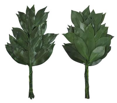 Tokai Seiro Preserved Compact Sakaki Trees, Pair, 25cm, SC-80856