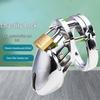 Male Chastity Lock CB6000sm: Metal Birdcage Seminal Vesicle Restraint Sex Toy