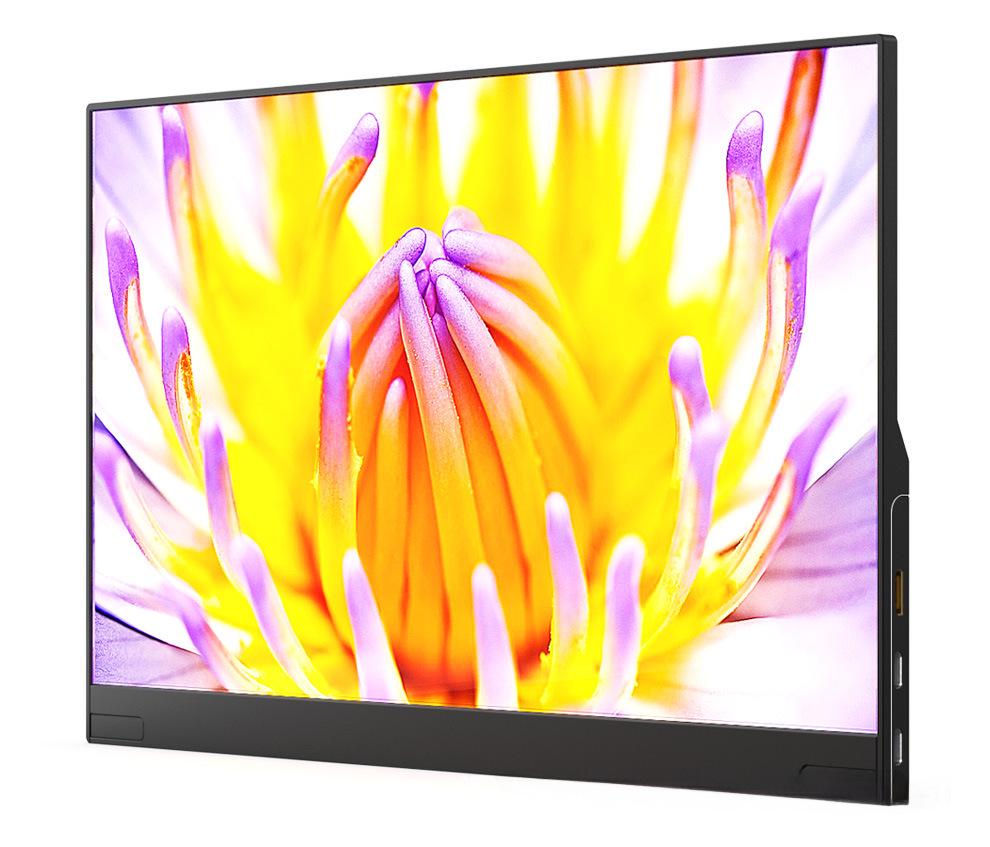 15.6-Inch HD Portable Type-C Display for Phone and Laptop Screen Extension
