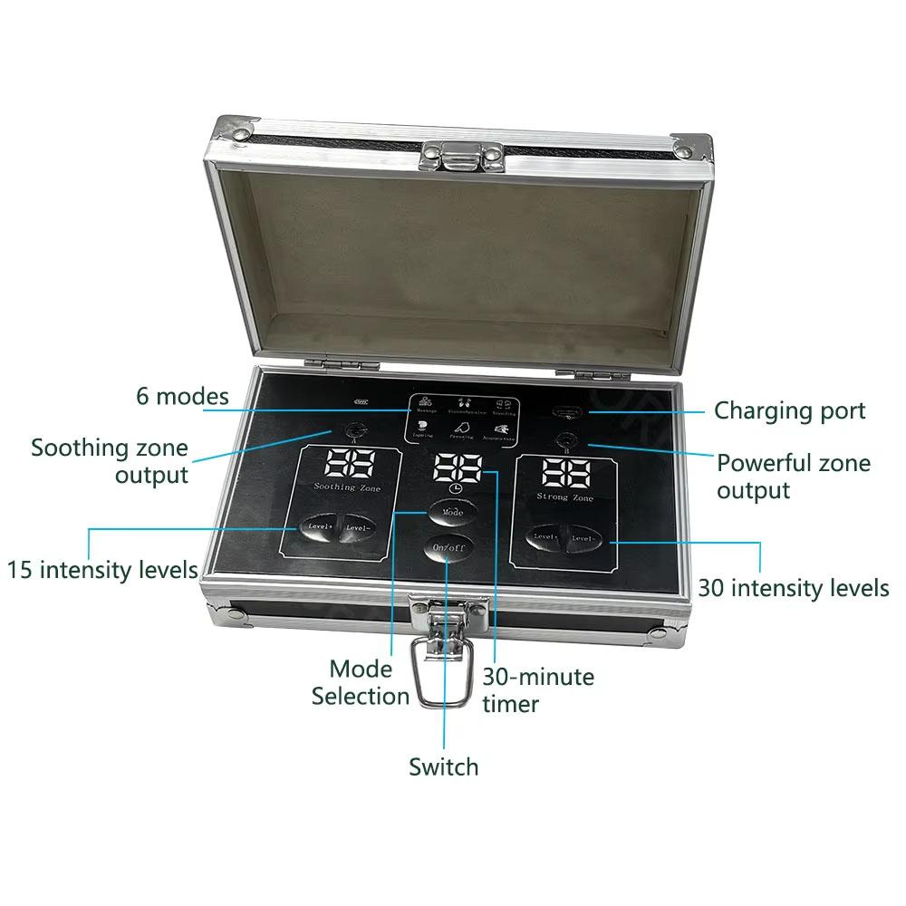 Mini Size Physiotherapy Instrument Fohoww Bioenergy Massage Machine Bioelectric Meridian Dredge Pulse Dds Bio Electric Massage