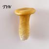 Resin Memo Holder 3D Mushroom Refrigerator Magnet, Fake Decorative Hand Painted Magnets Photo Notes for Whiteboard Cabinet Kitchen