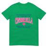 Funny Pickleball Cinderella Unisex Gift Player Joke Tshirt