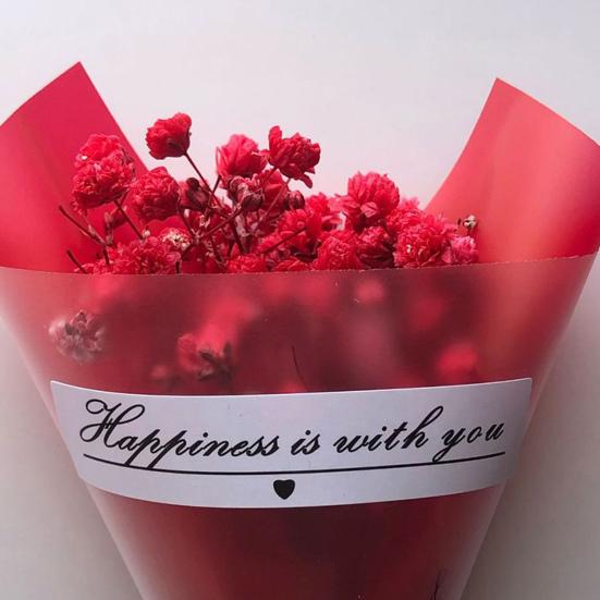 Mini Bukususzonych Kwiatów Naturalna Gipsówka Kwiaty Hurtowo Gipsówka Bukiet Kwiatowy do Rękodzieła Akcesoria Fotograficzne Prezent Zaproszenia Dekoracja