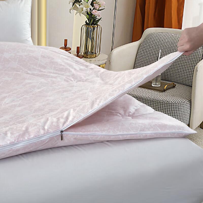 Plover Fluffy Antibacterial Winter Quilt