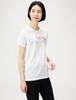 The North Face Colorful Logo Tee S/S
