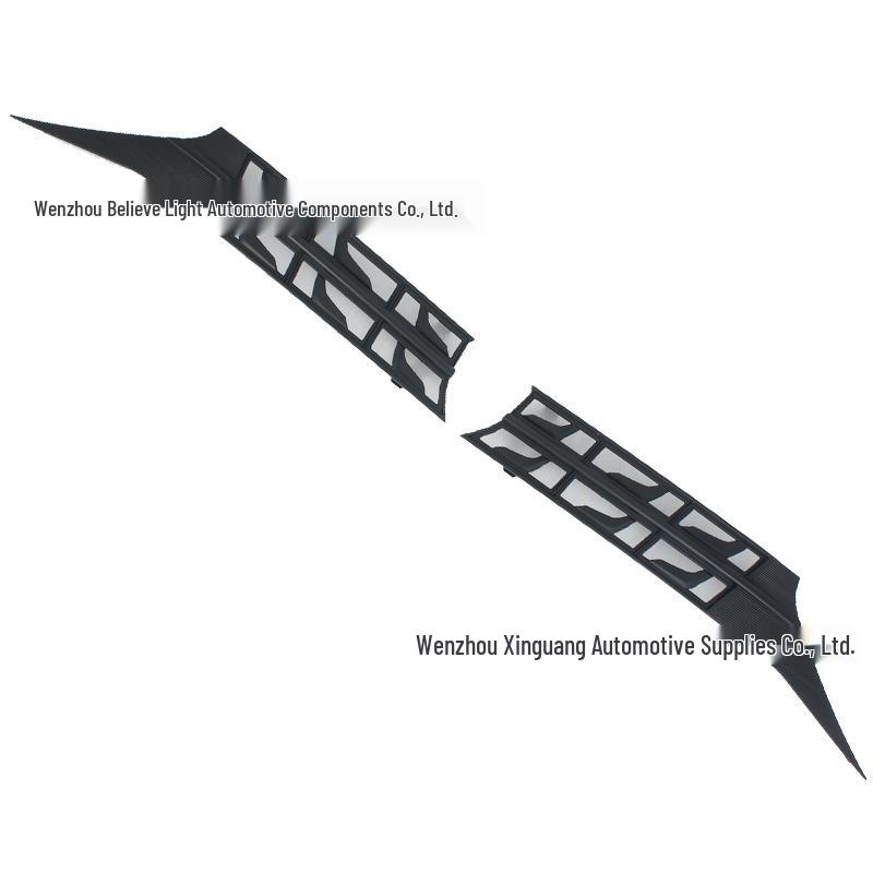 Denza D9 Windshield Insect Net: Black Carbon Fiber Car Exterior Decorative Parts for 25 Models