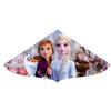 Ikeda Kogyo Co., Ltd. Kite, Frozen 2 Kite, 42730
