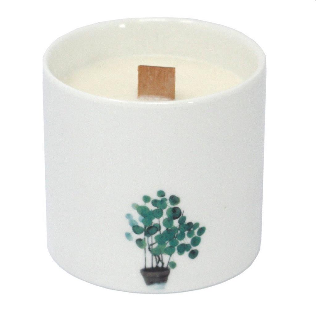 Wild Jasmine Scented Candle Soy Wax Wooden Wick