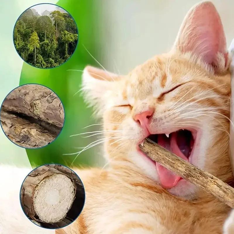 10Pcs Natural Catnip Pet Cat Molar Toothpaste Stick Cat Kitten Chew Toys  Pet Supplies Cat Snacks Sticks Healthy Pet Accessories