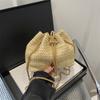 New straw bag 2026 summer new beach bag chain bag shoulder messenger women's bag diamond bucket bag