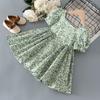 Girls Summer Chiffon Floral Dress Short Sleeve Korean Princess Dress for Toddlers