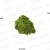 Instant Matcha Powder