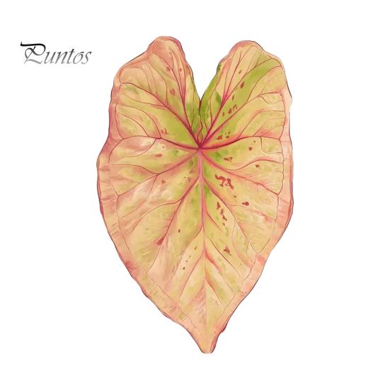 Tropical Plant Refrigerator Magnets 3D Plants Magnet, Acrylic Green Decorative Fridge Home Decor Memo Notes Photo Holder for Kitchen Office