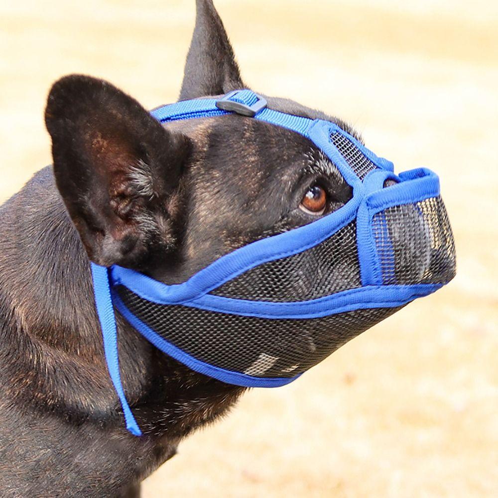 Prevent Accidental Ingestion Dog Anti-biting Anti-barking Mask  Walking The Dog