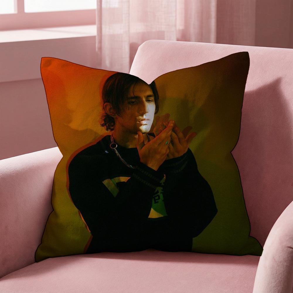 Singer Porter Robinson Cushion Cover Multi-Scene Pillow Cover for Home & Car - Reversible, Soft & Durable for Daily Use