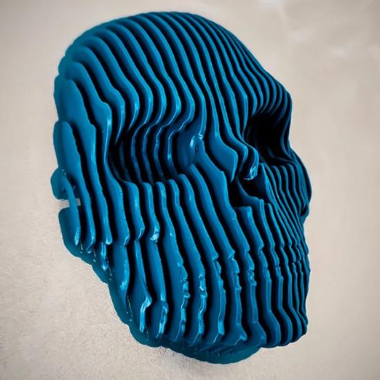 Quantums Skull Wall Decoration Home Office Living Room Bathroom Wall Art Spooky 3D Printed Skull Sculpture Figurine Statue Wall Ornament