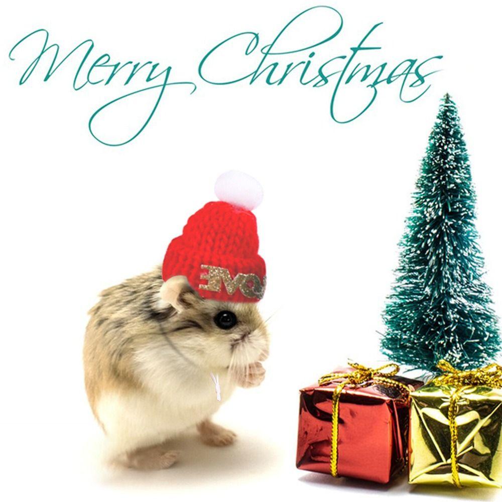 Knitted Hamster Christmas Hat Adjustable Pet Costume Headwear Cute Santa Beanie Festive Dress-Up