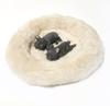 Fluffy Dog Figurine Magnet with Realistic and Lifelike Sleeping French Bulldogs (moin Moin) Bed, (Two (Brindle (Black)))