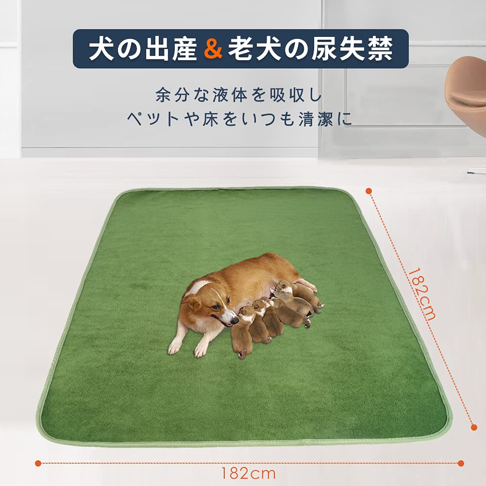 Washable Pet Pads for Dogs and Cats Pee Pet Machine Washable Set of - Pads, Mats, Quick-Drying, Non-Slip, Reusable, (Green, 182x182cm, 2)