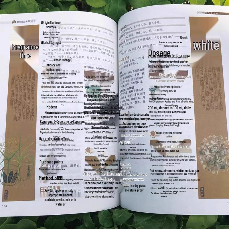 A Concise Guide To Home Traditional Chinese Medicine: TCM Basics, Health Preservation, Symptom-Based Dietary Therapy, and Family Wellness