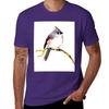 Beautiful Bird, Titmouse T-Shirt for a boy animal prinfor boys Short sleeve tee fitted t shirts for men