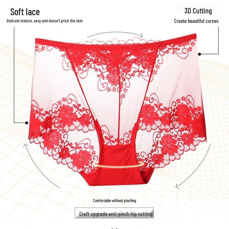 Plus Size Seamless Lace High Waist Tummy Control Panties (90-300 Lbs)